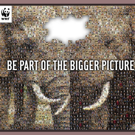 WWF Campaign Concept